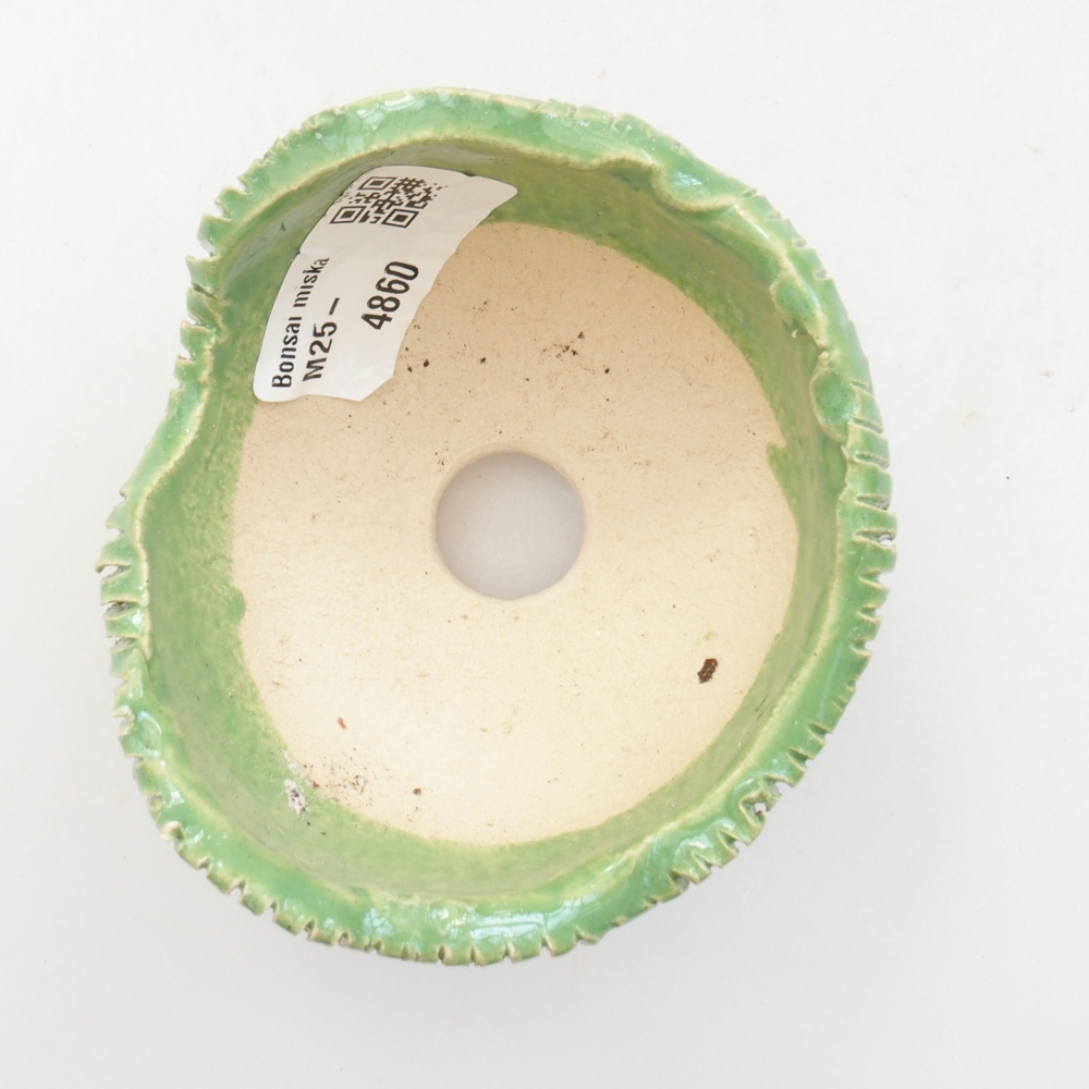 Concha de cerámica 7,5 x 7,5 x 5,5 cm , color verde