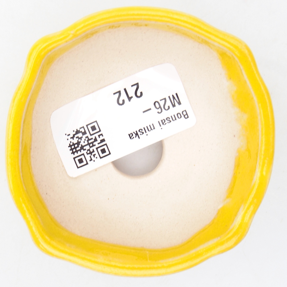 Cuenco mini bonsái 6,5 x 6,5 x 2,5 cm, amarillo