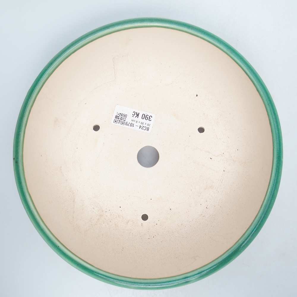 Bol 21 x 21 x 8,5 cm verde