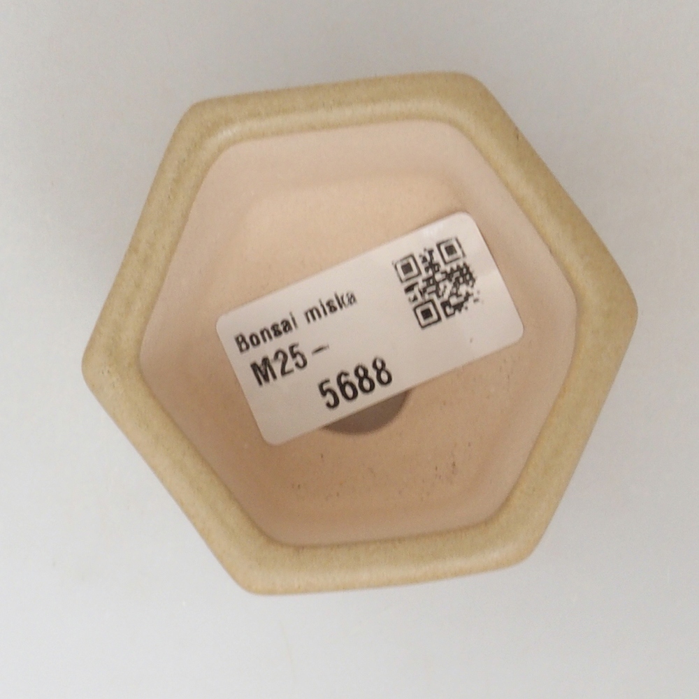 Cuenco mini bonsái 6,5 x 6 x 4 cm, marrón