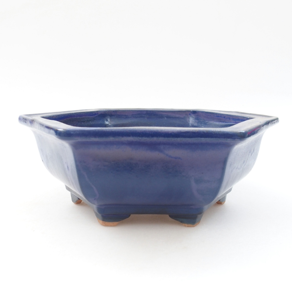 Cuenco bonsái de cerámica 22 x 17 x 5 cm, verde