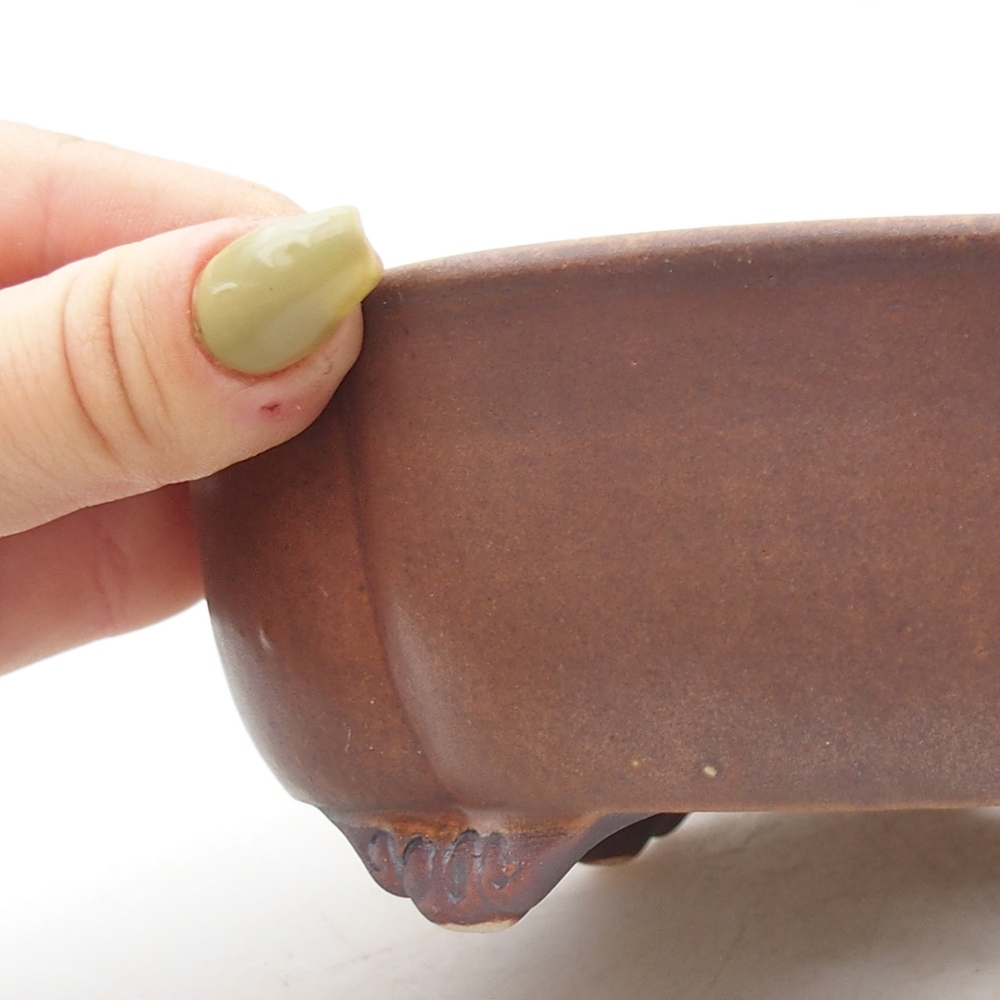 Cuenco bonsái de cerámica 17 x 15,5 x 5,5 cm, marrón