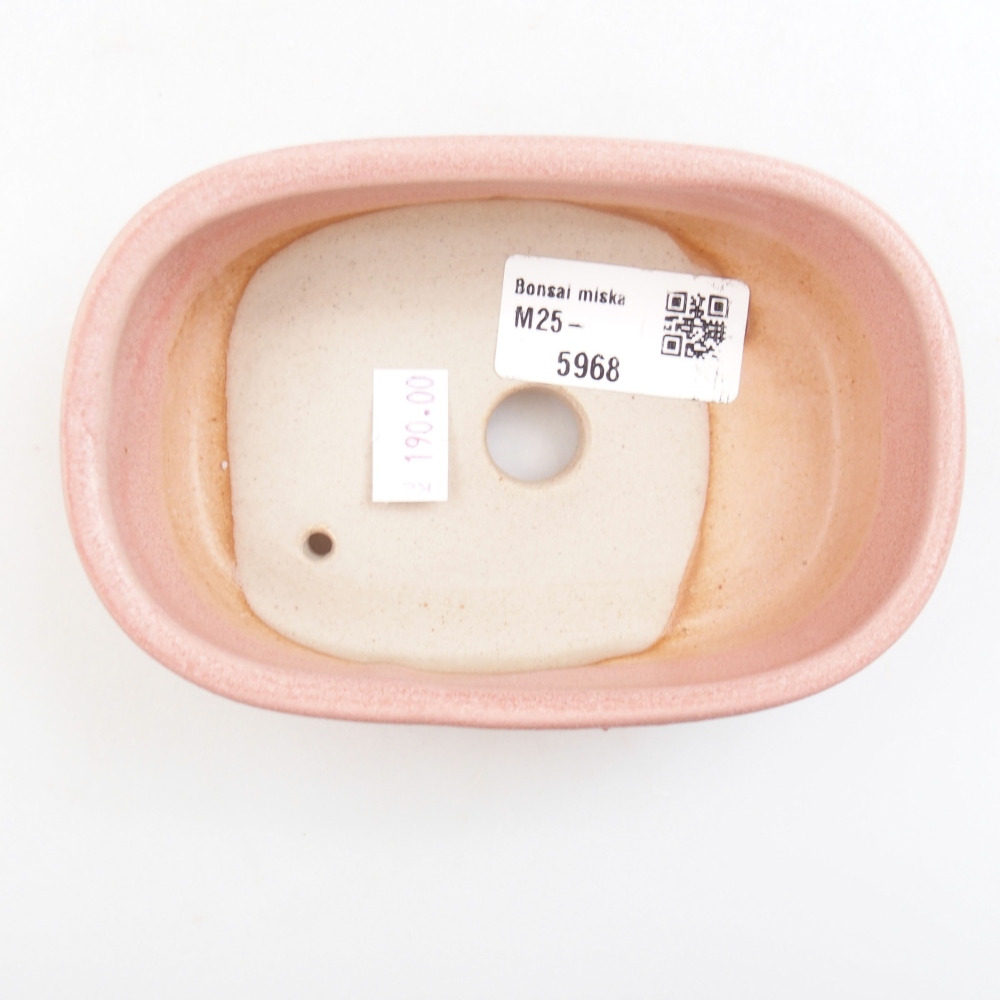 Cuenco bonsái de cerámica 22 x 17 x 5 cm, verde