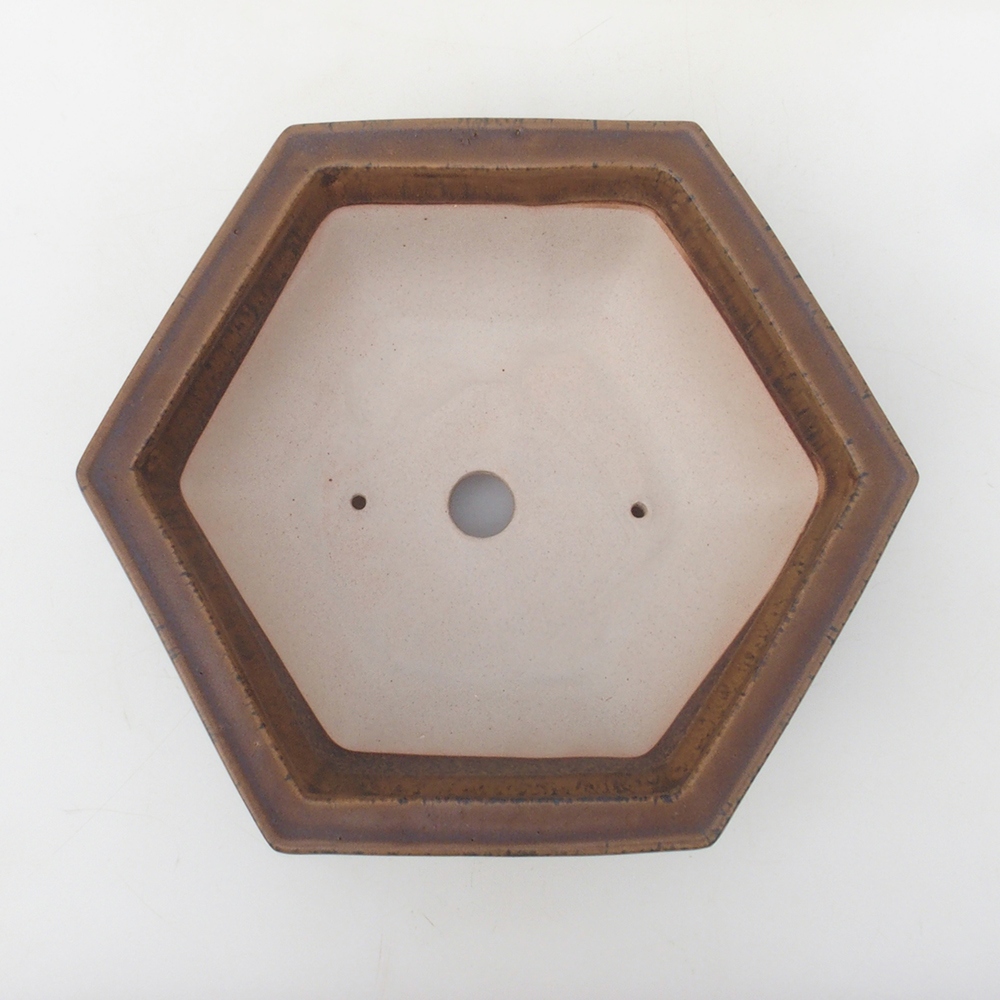 Cuenco bonsái H53 - 19 x 21,5 x 7 cm - marrón