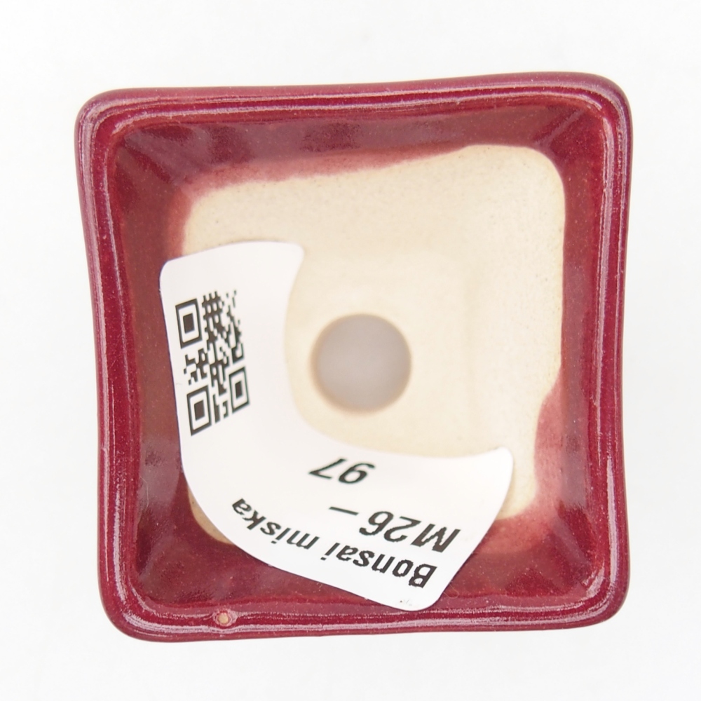 Cuenco mini bonsái 4 x 4 x 3,5 cm, burdeos