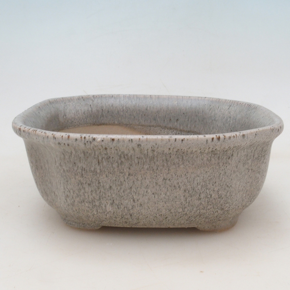 Bonsai cuenco + platillo H32 - beige