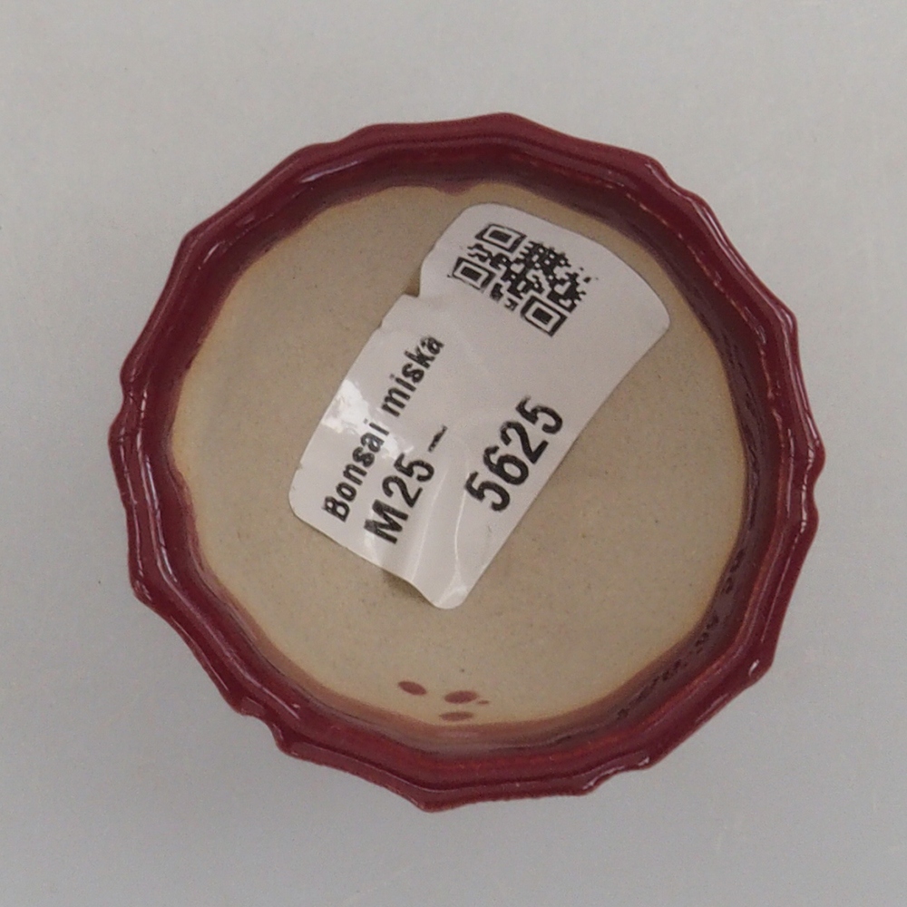 Mini cuenco bonsái 5 x 5 x 3 cm, burdeos