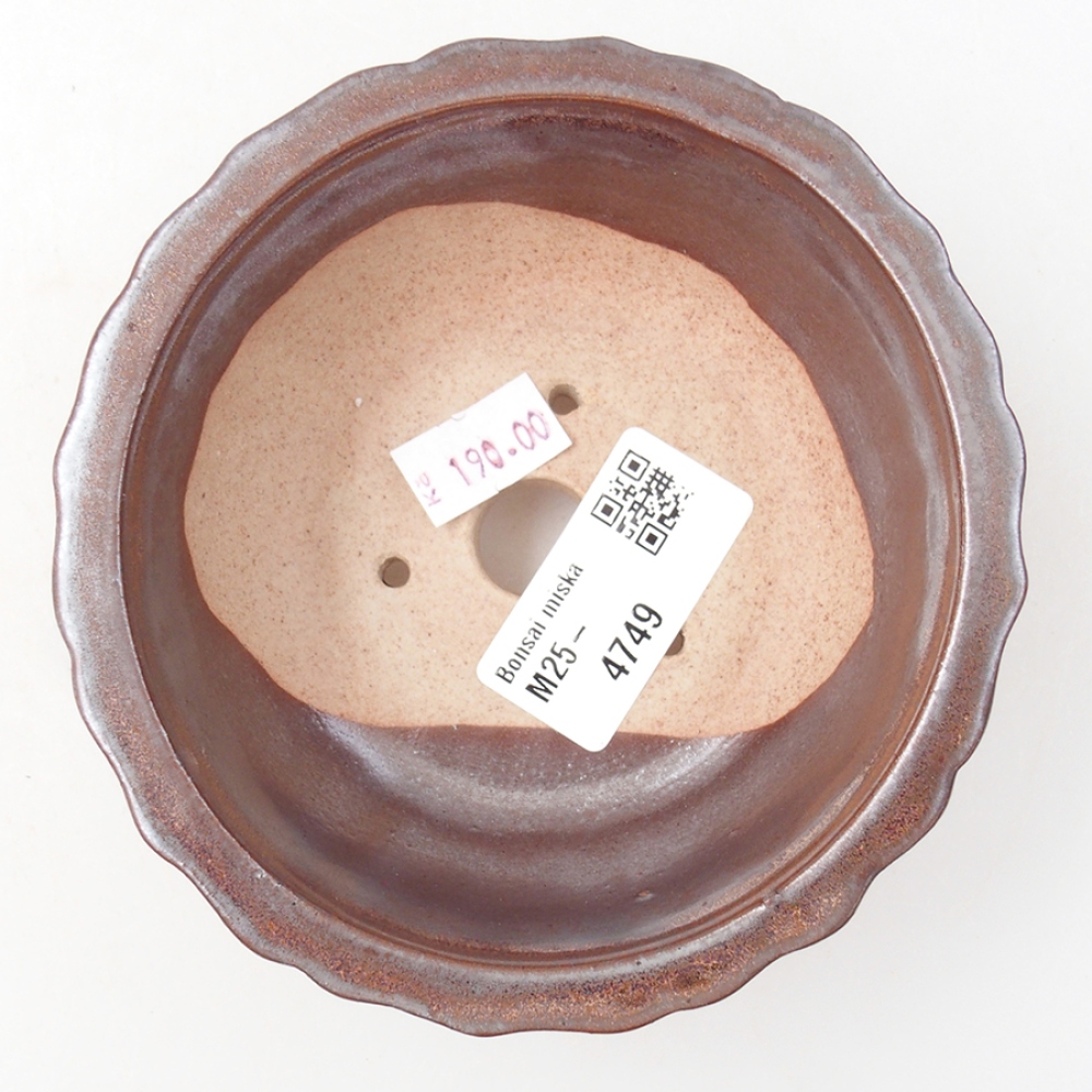 Cuenco bonsái de cerámica 11 x 11 x 5 cm, marrón