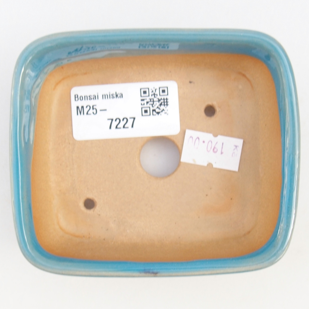 Cuenco bonsái de cerámica 9,5 x 8 x 3,5 cm, color azul