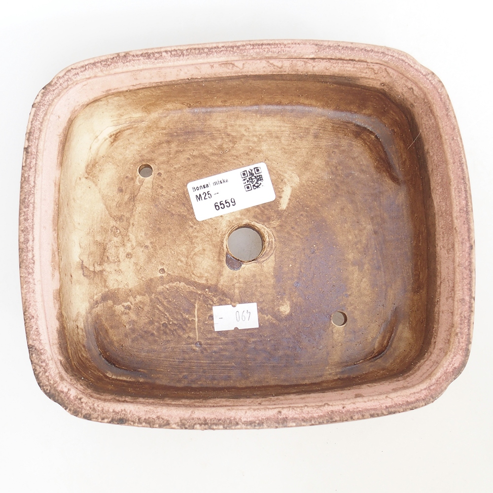 Cuenco bonsái de cerámica 20 x 17 x 6 cm, rosa