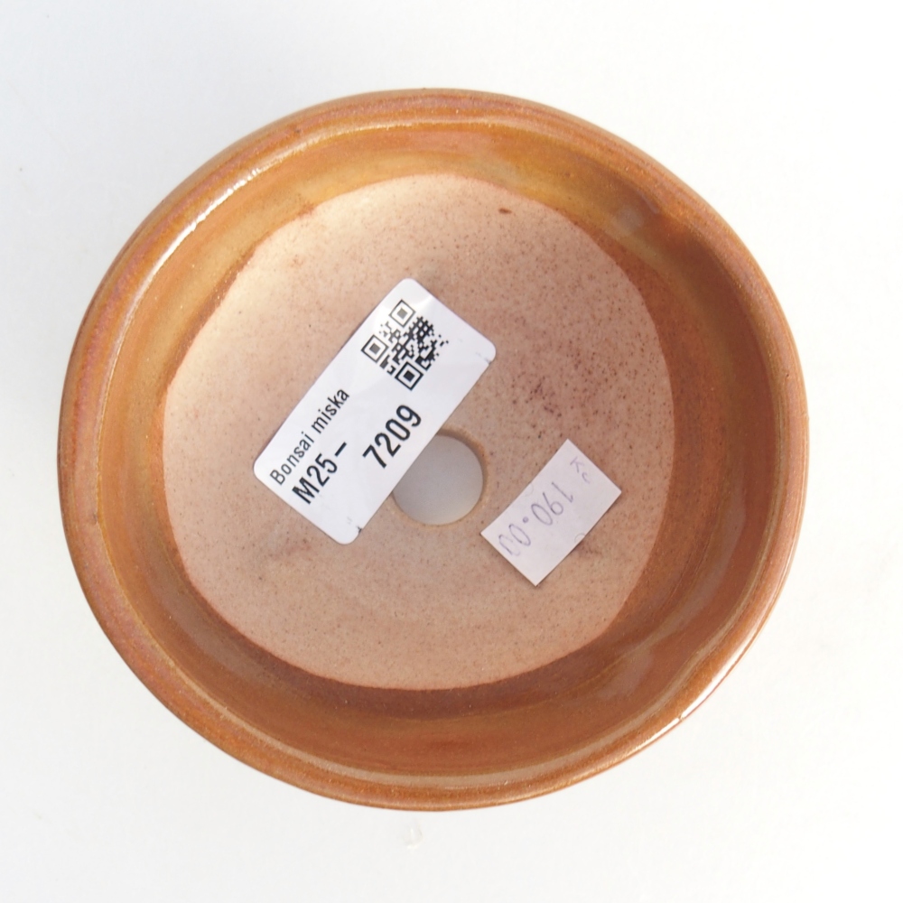 Cuenco bonsái de cerámica 10 x 10 x 5 cm, marrón