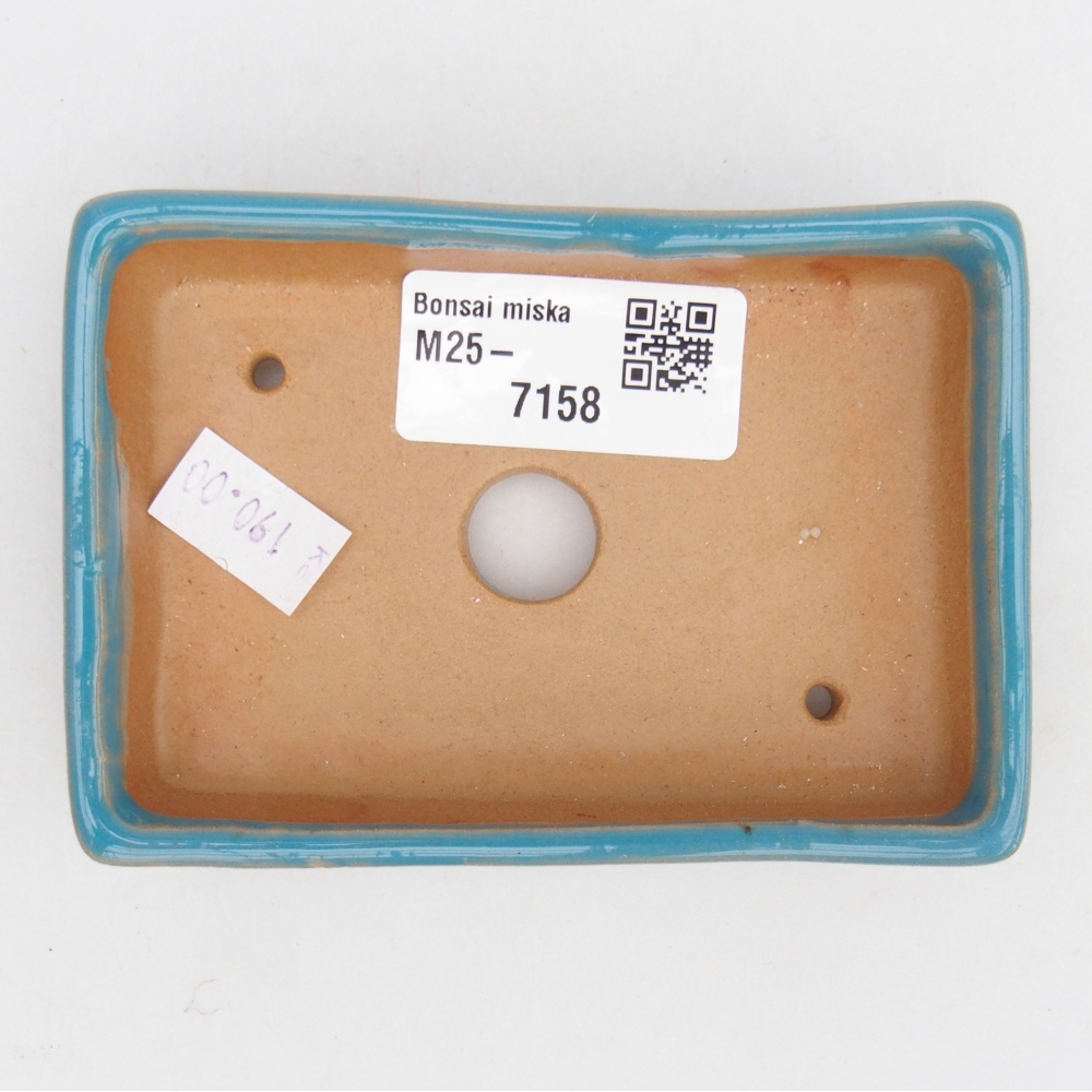 Cuenco bonsái de cerámica 10,5 x 7 x 2 cm, color azul