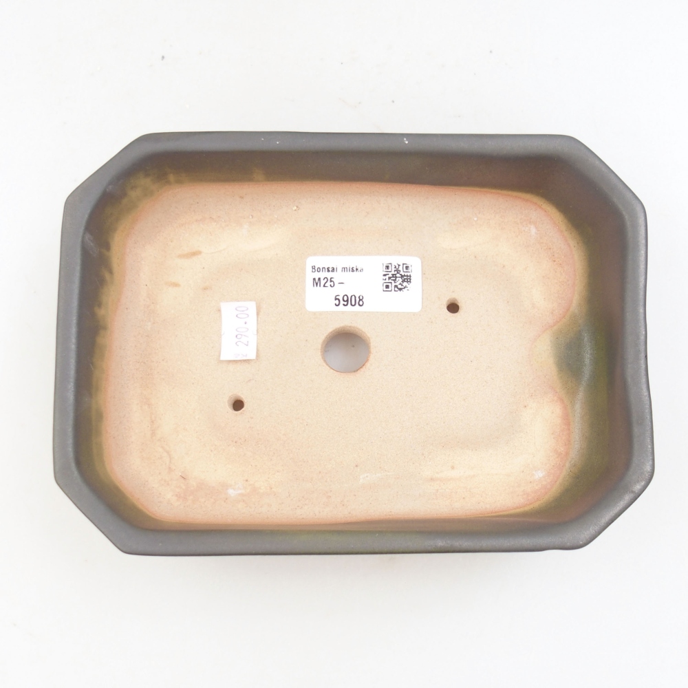 Cuenco bonsái de cerámica 22 x 17 x 5 cm, verde