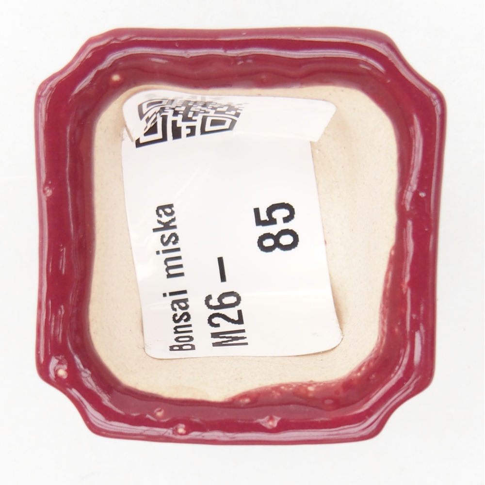 Cuenco mini bonsái 3,5 x 3,5 x 2 cm, burdeos