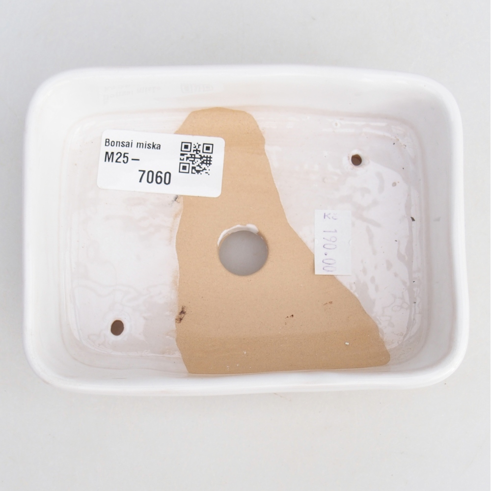 Cuenco bonsái de cerámica 12,5 x 9,5 x 3,5 cm, color blanco