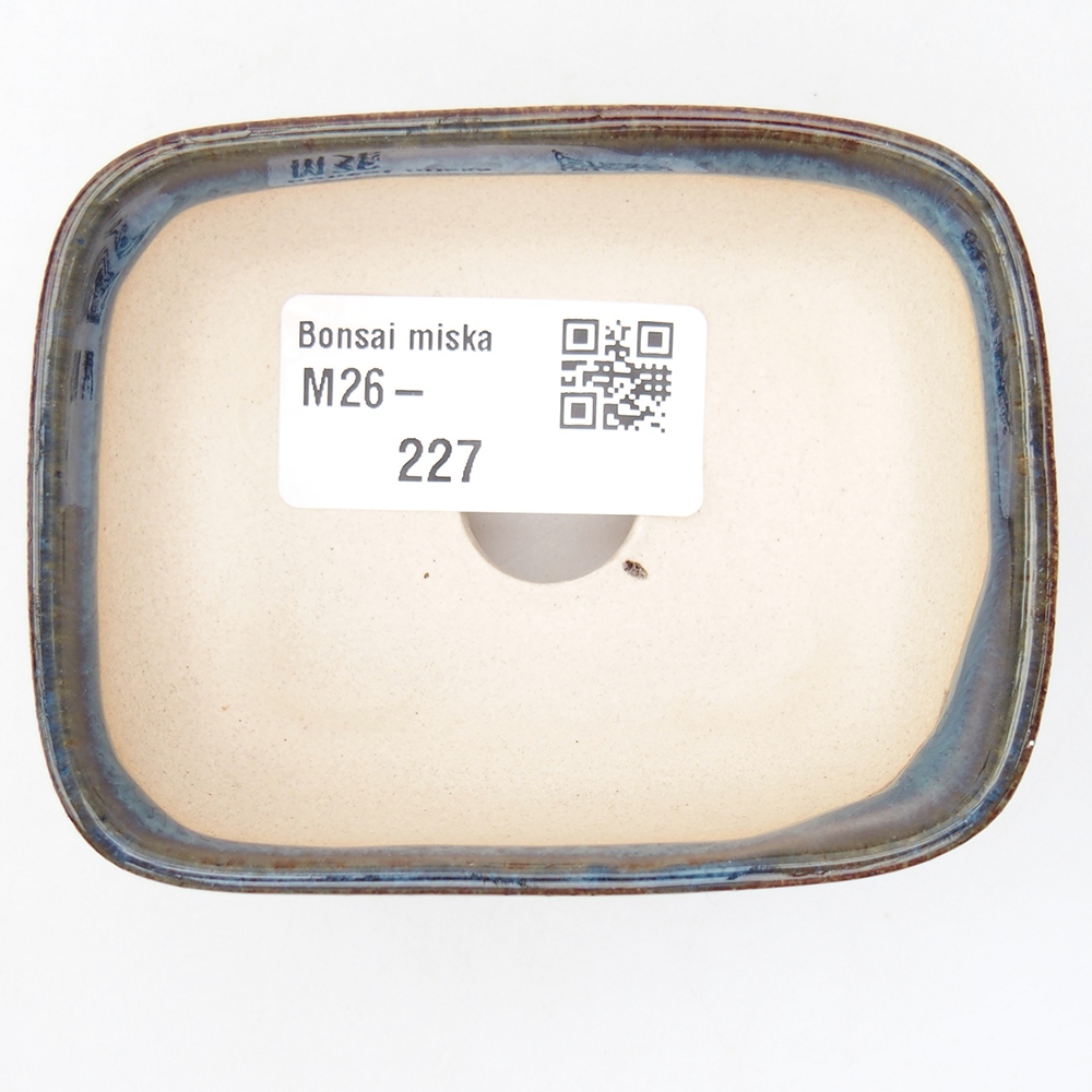 Mini cuenco bonsái 8 x 6,5 x 3 cm, color azul