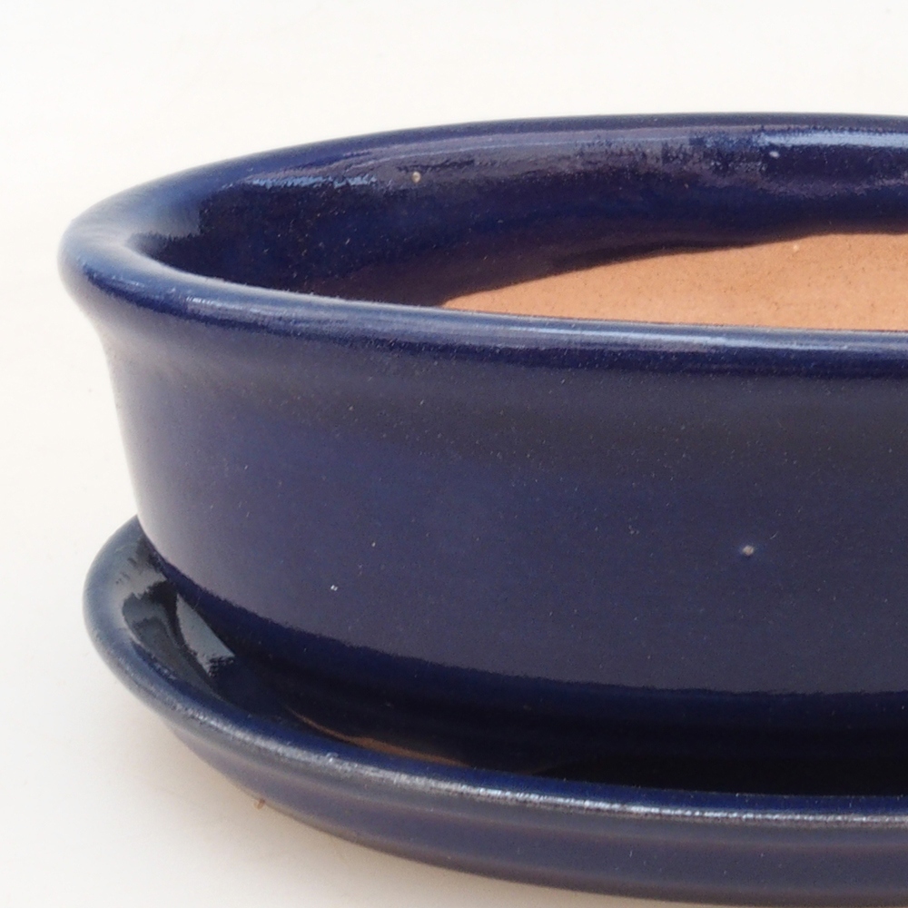 Cuenco bonsái + platillo H04 - azul