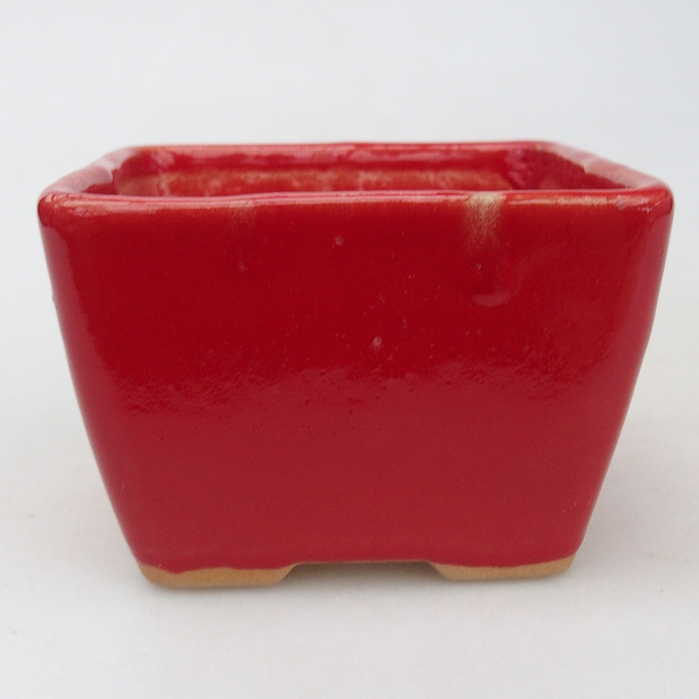 Cuenco bonsái de cerámica 8,5 x 8,5 x 6 cm, color rojo