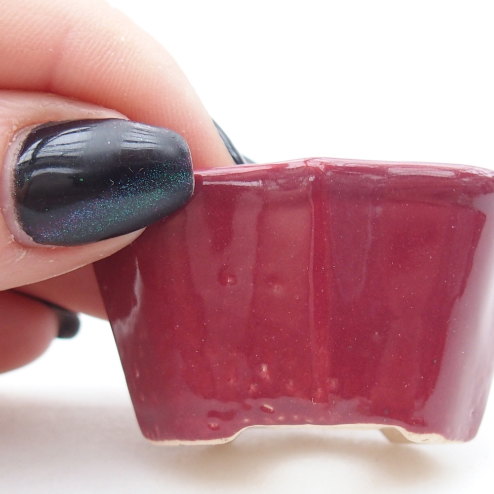 Cuenco mini bonsái 4,5 x 3 x 2,5 cm, burdeos