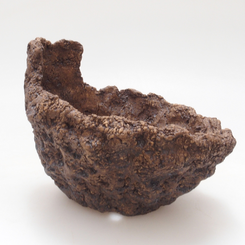 Concha de cerámica 9 x 8 x 8,5 cm , color marrón