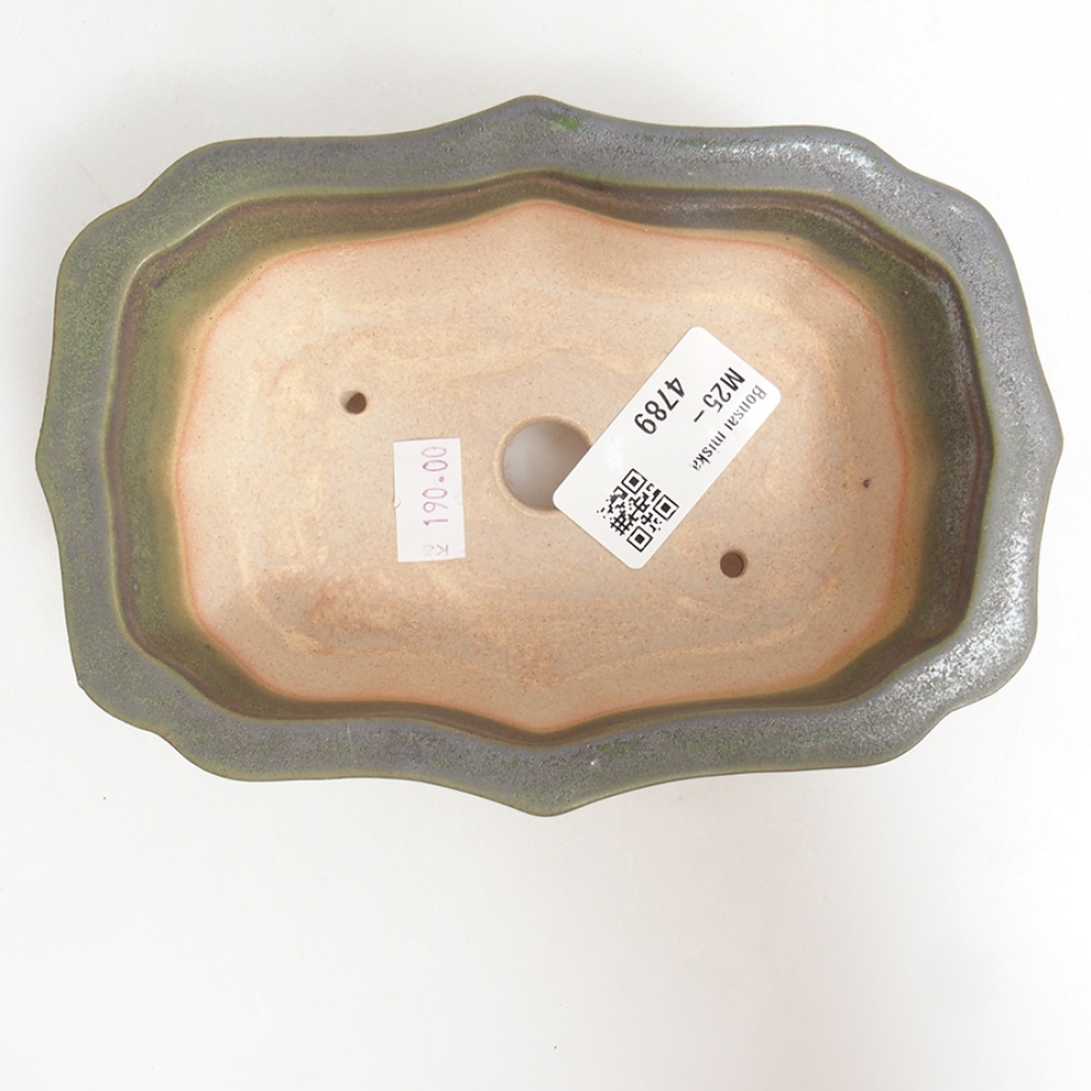 Cuenco bonsái de cerámica 15,5 x 11,5 x 4,5 cm, verde
