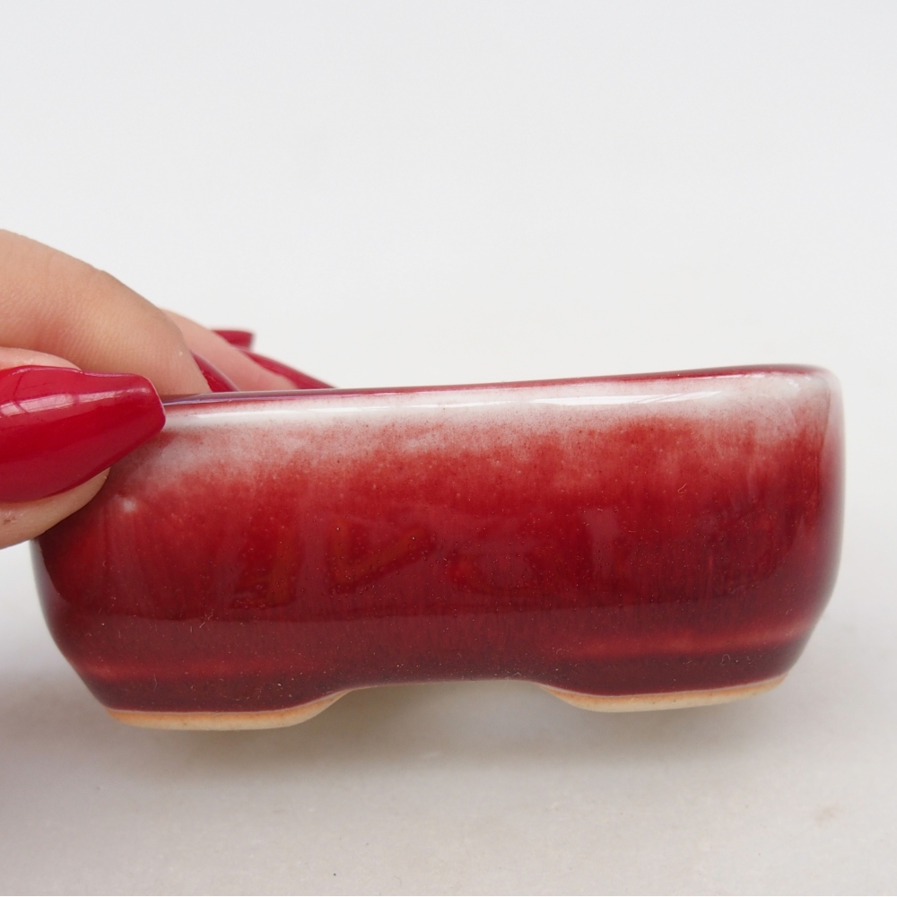 Mini cuenco bonsái 8 x 6 x 3 cm, color rojo