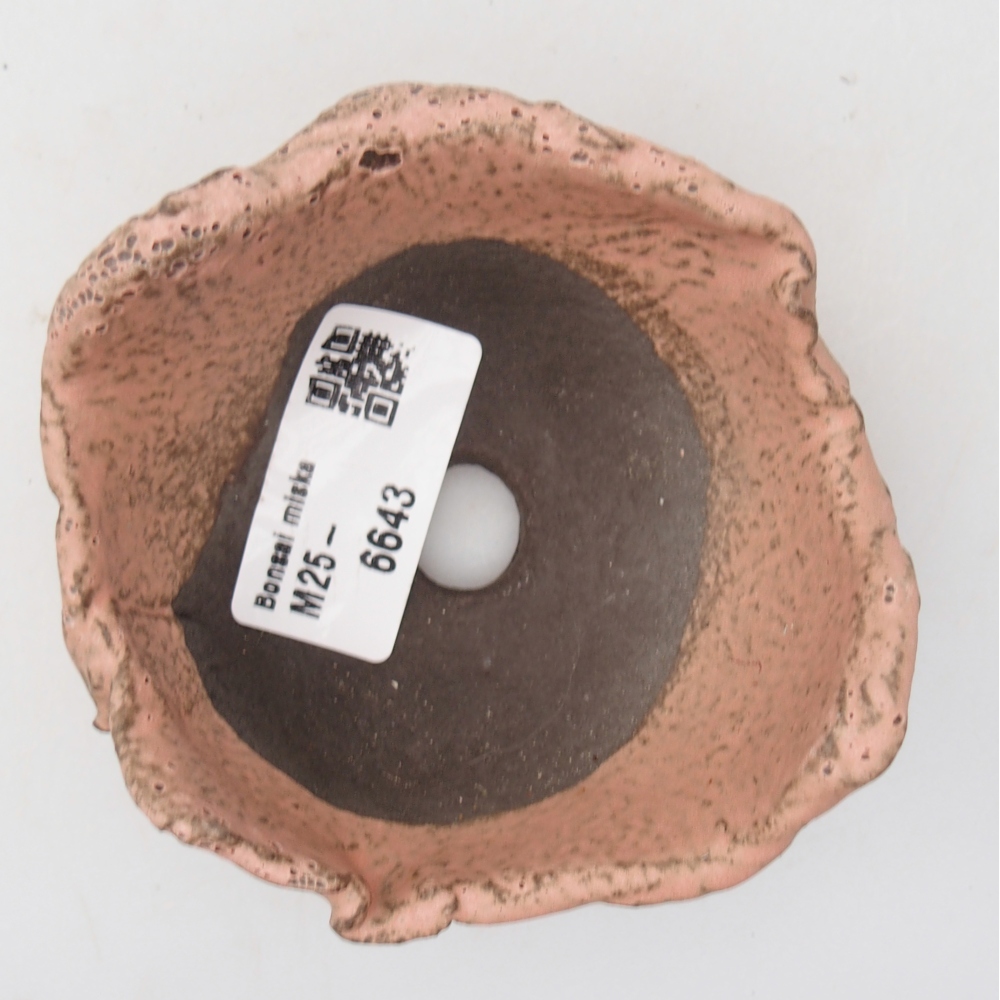 Concha de cerámica 9 x 8,5 x 4,5 cm , color rosa