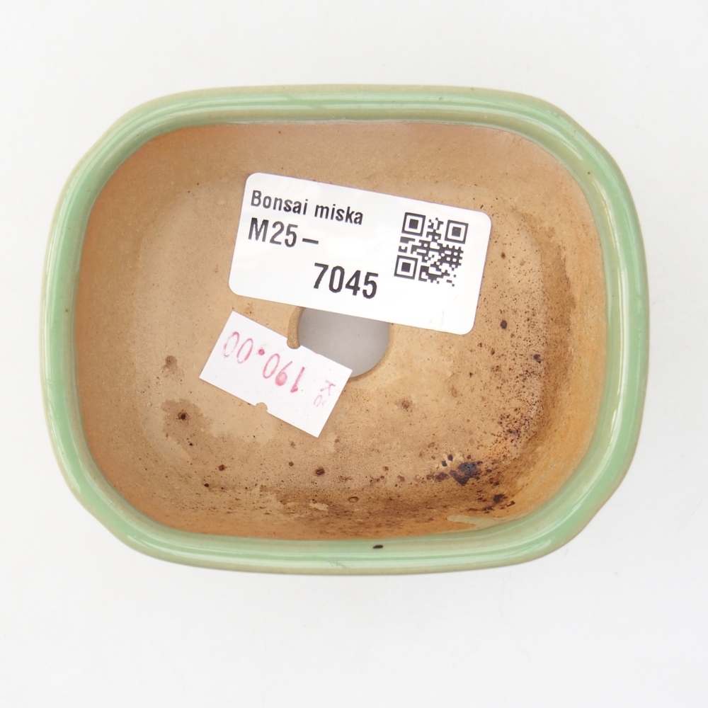 Cuenco bonsái de cerámica 8,5 x 7 x 3,5 cm, verde