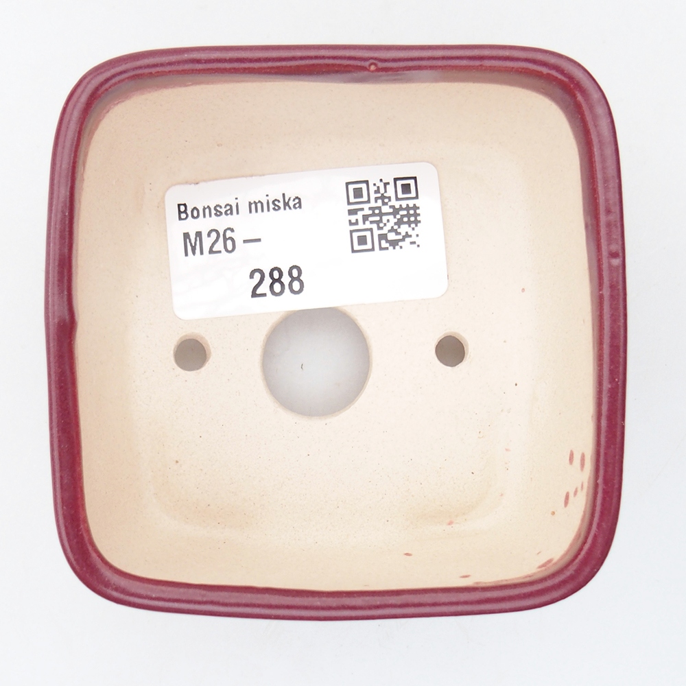Mini cuenco bonsái 7 x 7 x 4 cm, burdeos