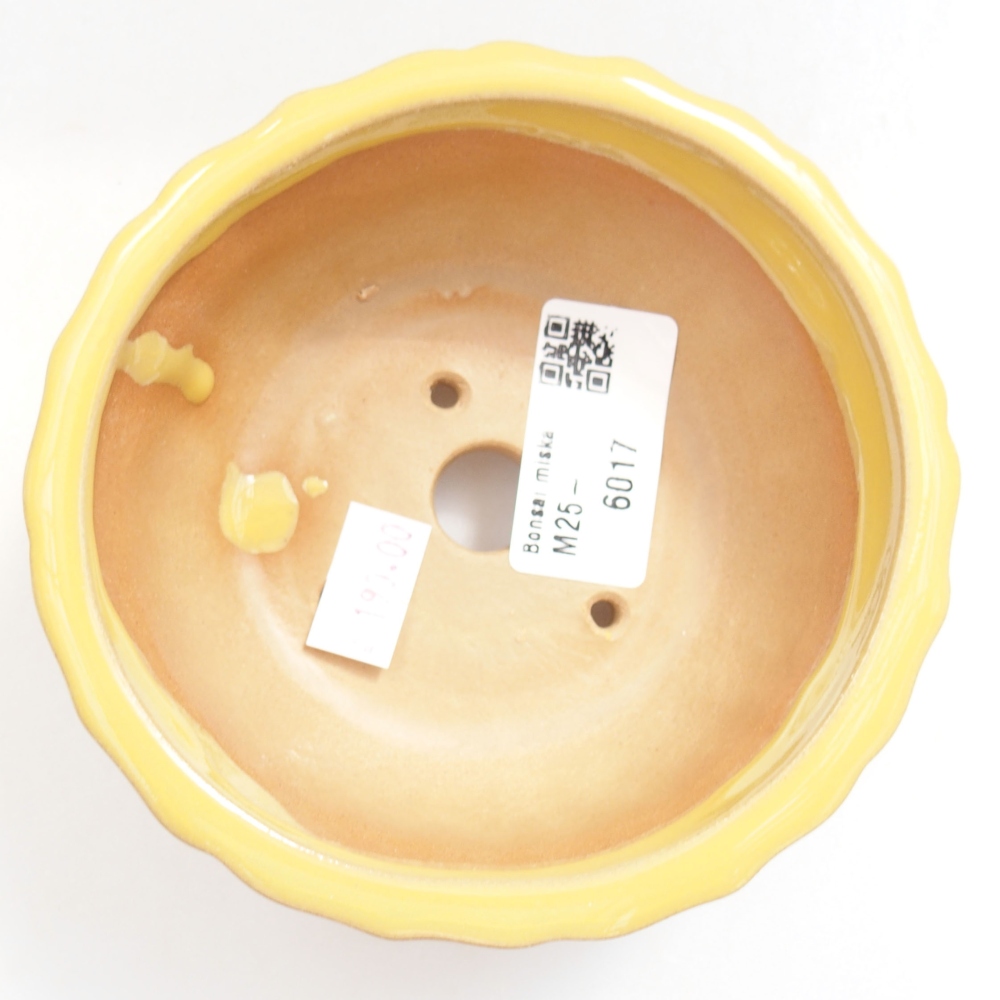 Cuenco bonsái de cerámica 22 x 17 x 5 cm, verde