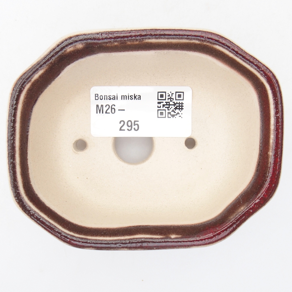 Cuenco mini bonsái 9 x 7 x 3,5 cm, color rojo