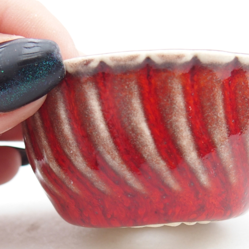 Mini cuenco bonsái 5,5 x 5,5 x 2,5 cm, color rojo