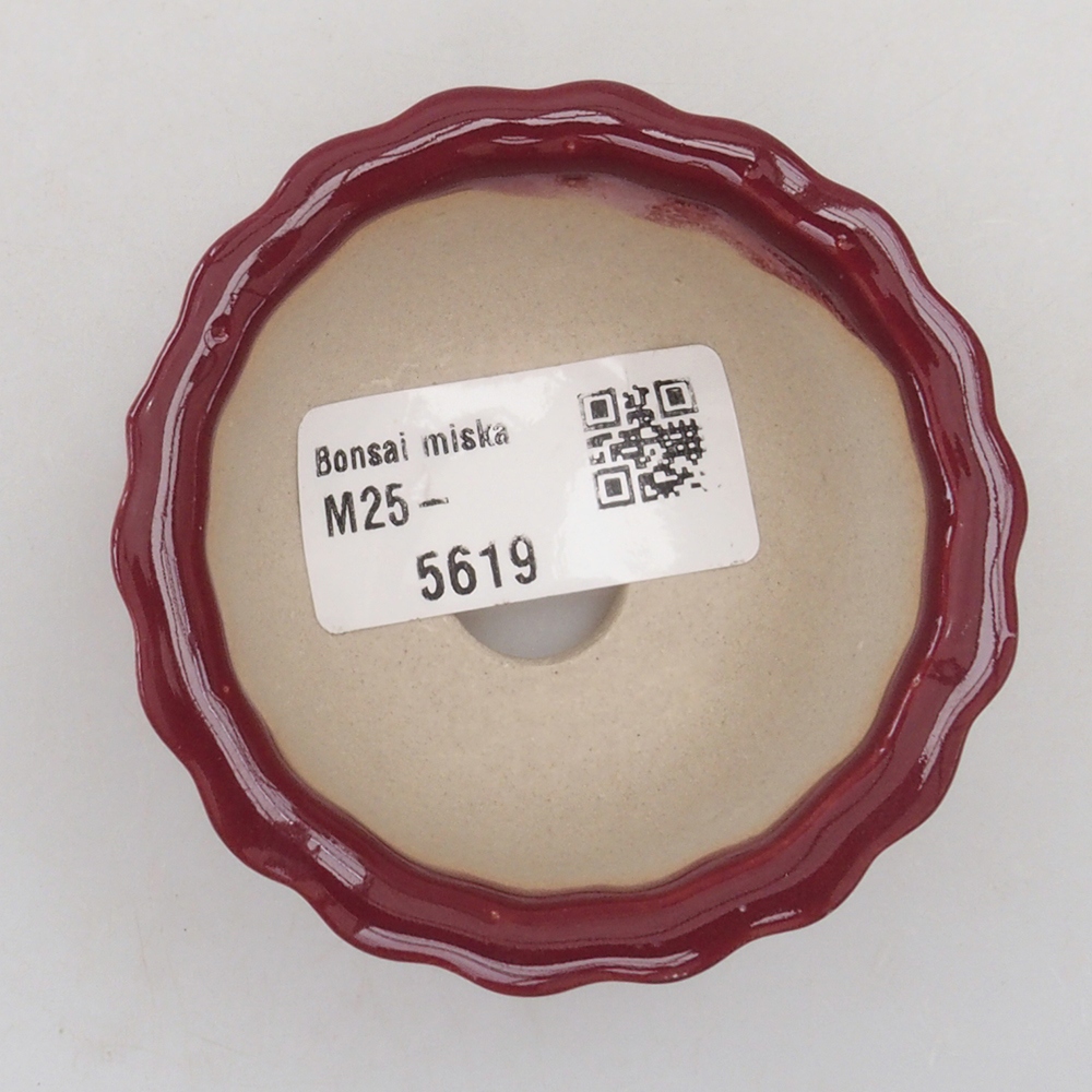 Cuenco mini bonsái 6,5 x 6,5 x 3,5 cm, burdeos