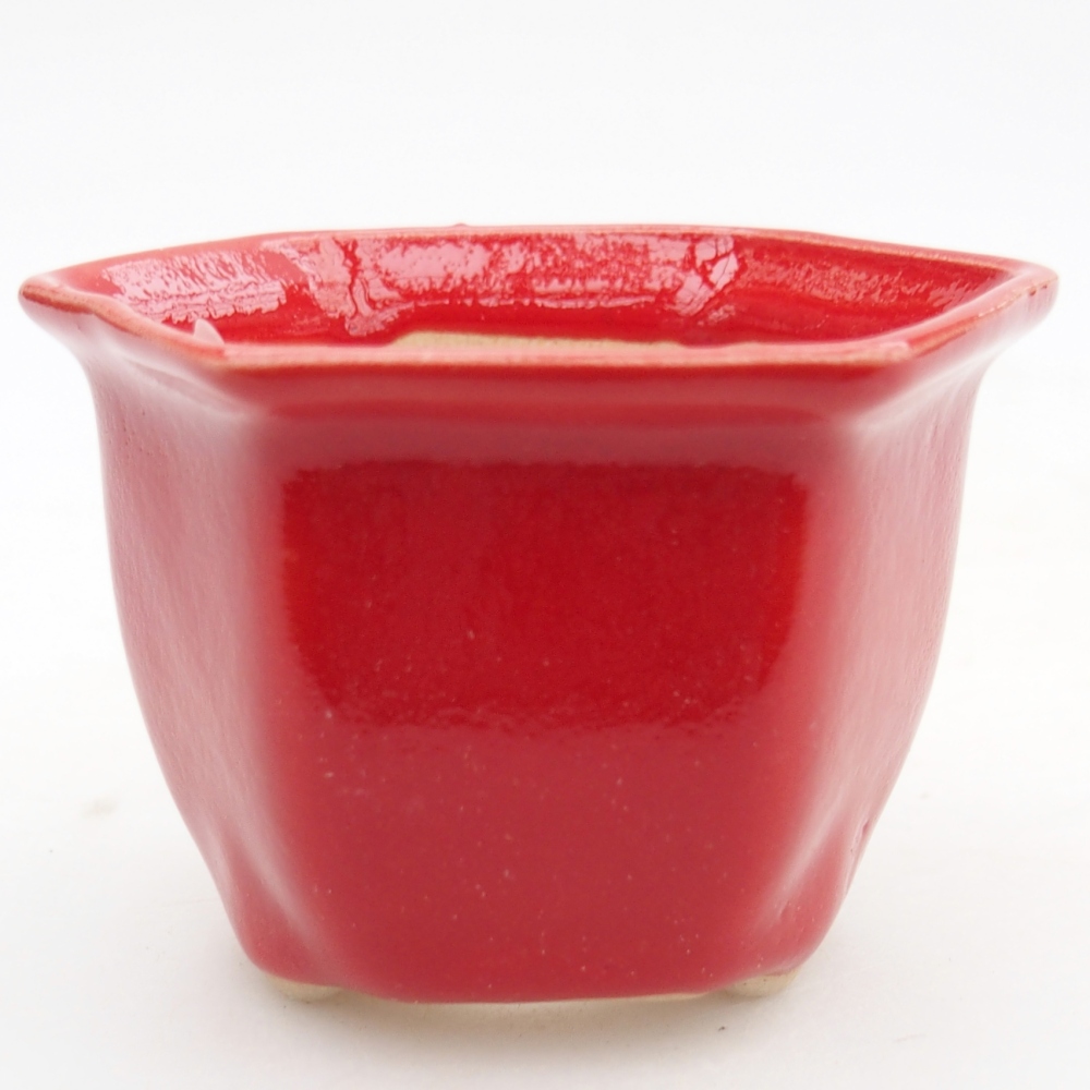 Mini cuenco bonsái 7 x 6,5 x 5 cm, color rojo