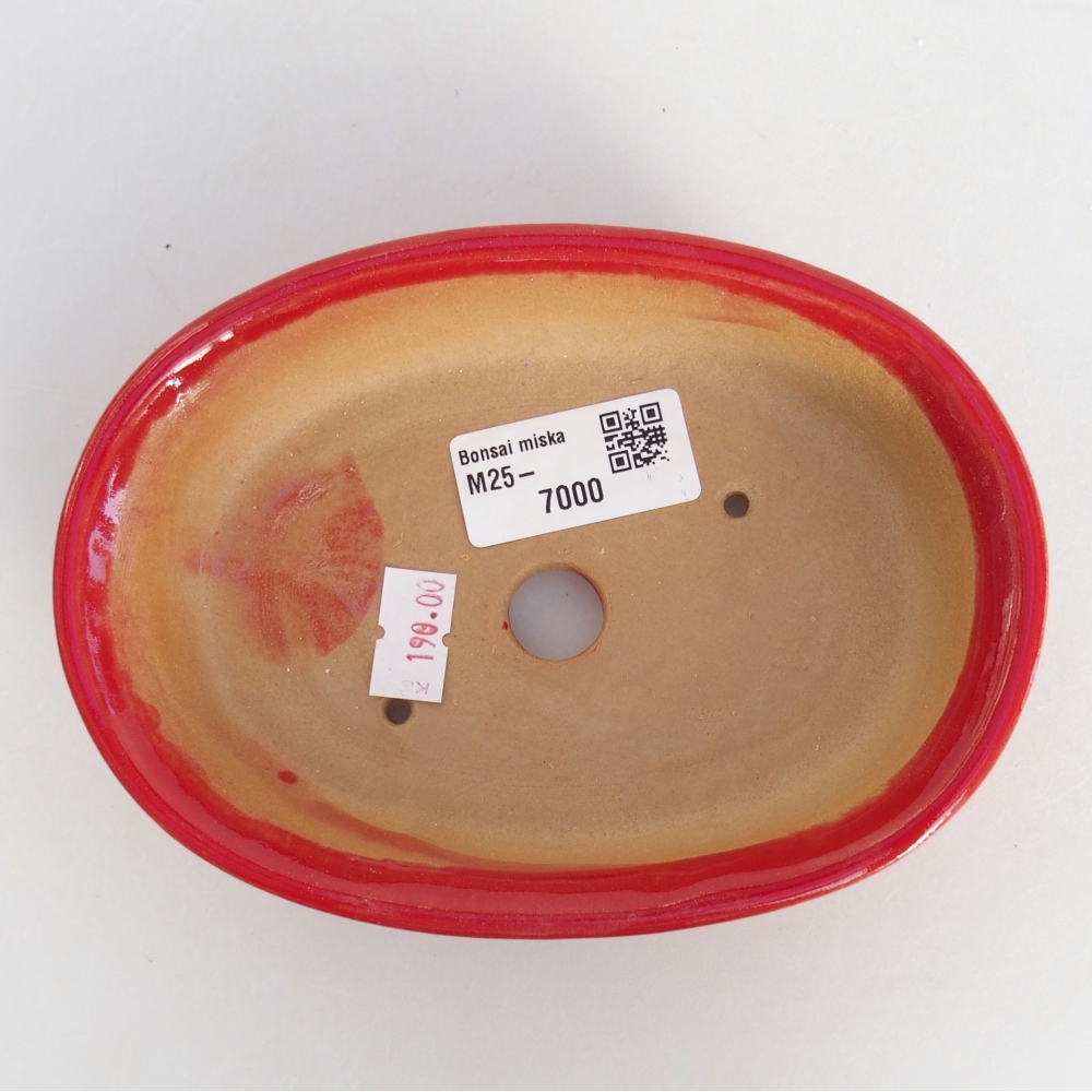 Cuenco bonsái de cerámica 15 x 10,5 x 3,5 cm, color rojo