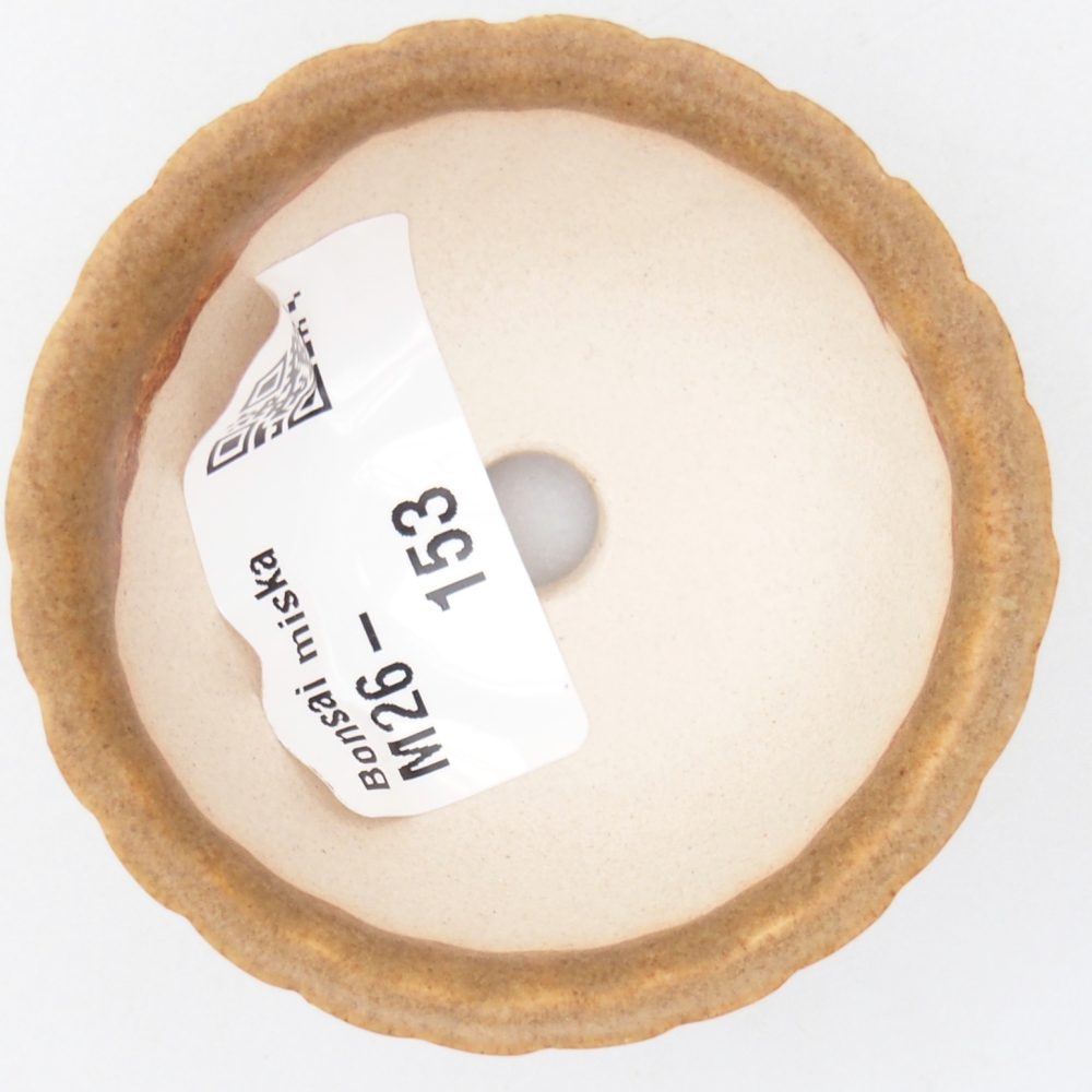 Mini cuenco bonsái 5,5 x 5,5 x 3 cm, marrón