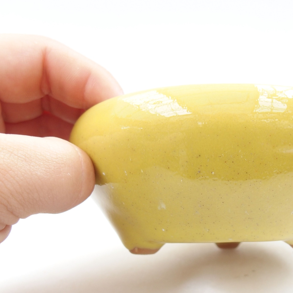 Cuenco bonsái de cerámica 22 x 17 x 5 cm, verde