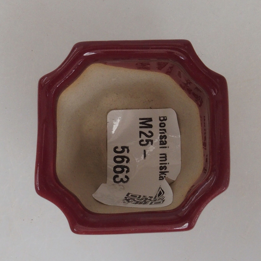 Cuenco mini bonsái 4 x 4 x 3,5 cm, burdeos