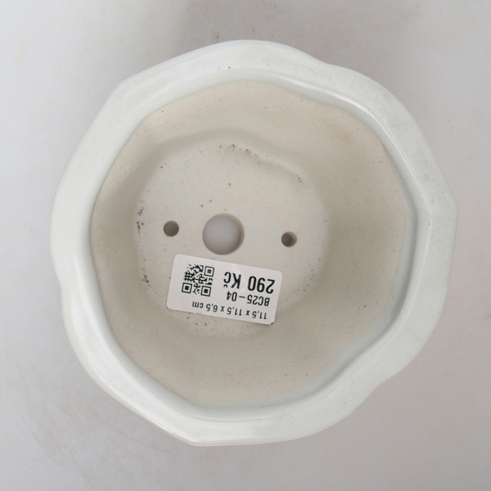 Cuenco bonsái de cerámica 11,5 x 11,5 x 6 cm, blanco