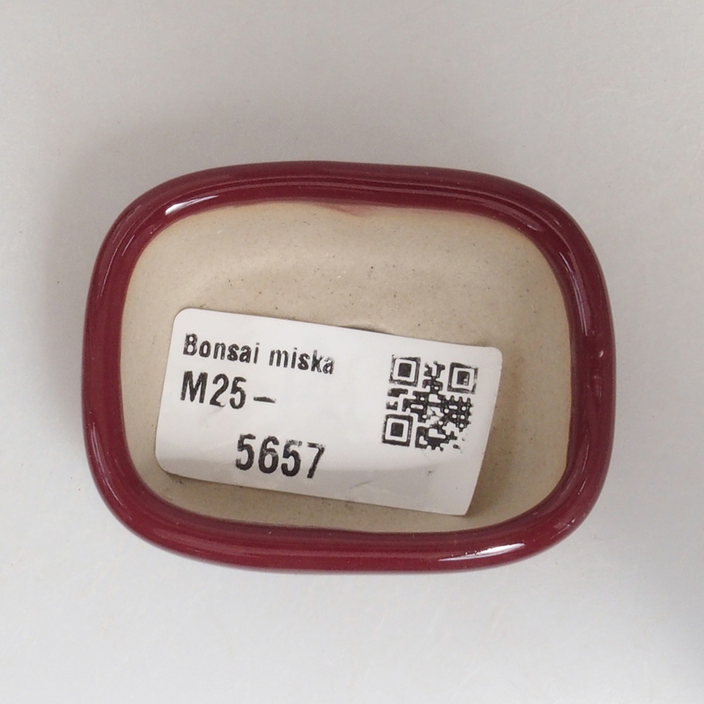 Cuenco mini bonsái 5,5 x 4,5 x 2 cm, burdeos