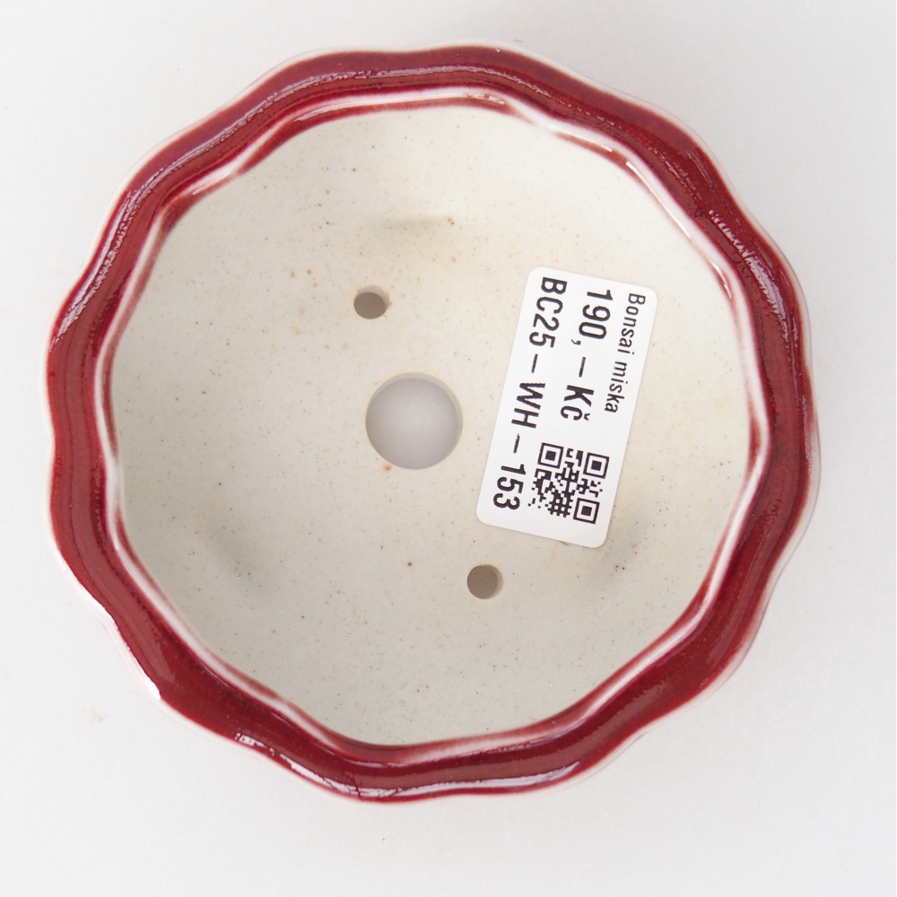 Cuenco bonsái de cerámica 10 x 10 x 4 cm, color rojo