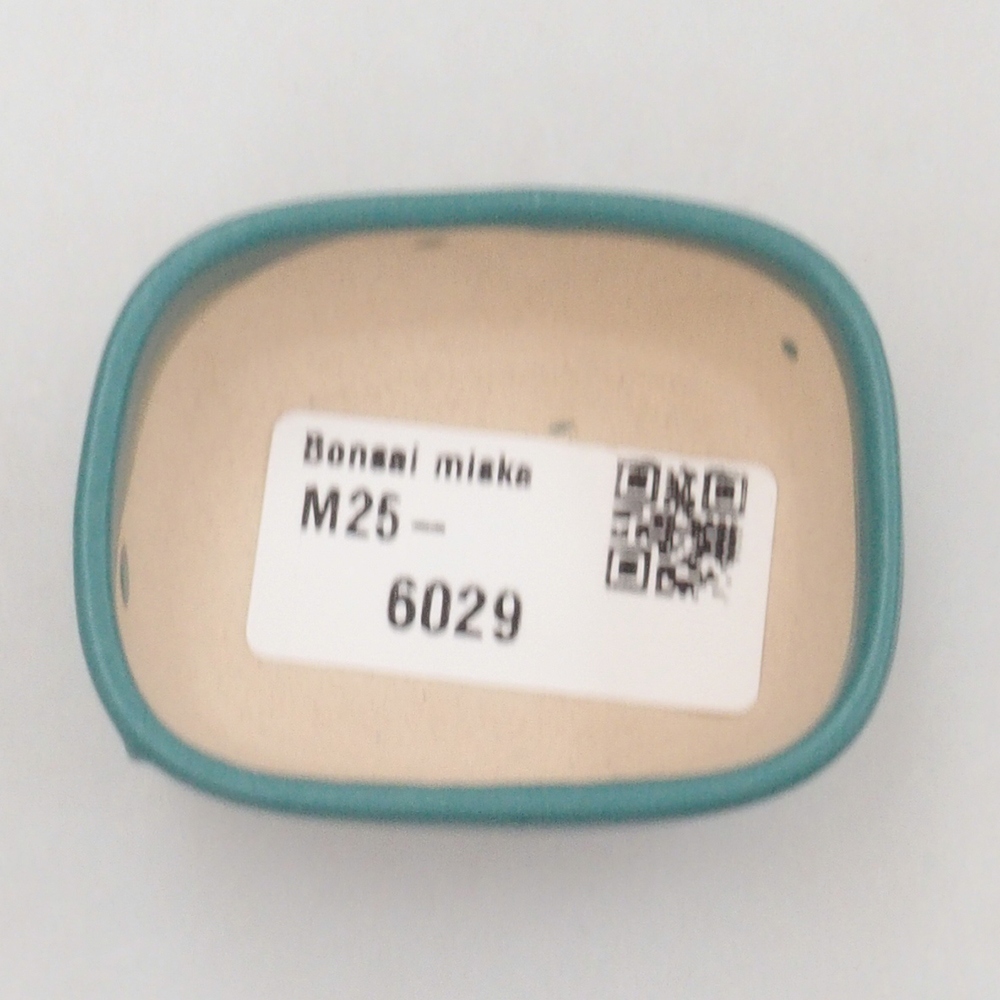 Cuenco bonsái de cerámica 6,5 x 5,5 x 4 cm, color azul