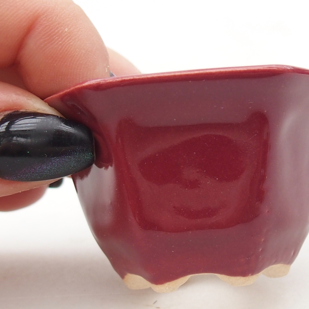 Mini cuenco bonsái 5,5 x 5 x 3 cm, burdeos