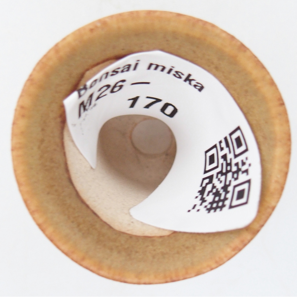 Cuenco mini bonsái 3 x 3 x 3,5 cm, marrón