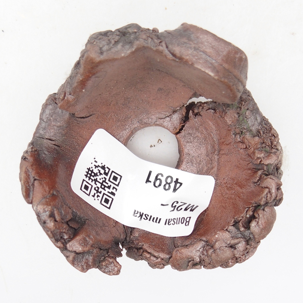 Concha de cerámica 6 x 6 x 4 cm , color marrón