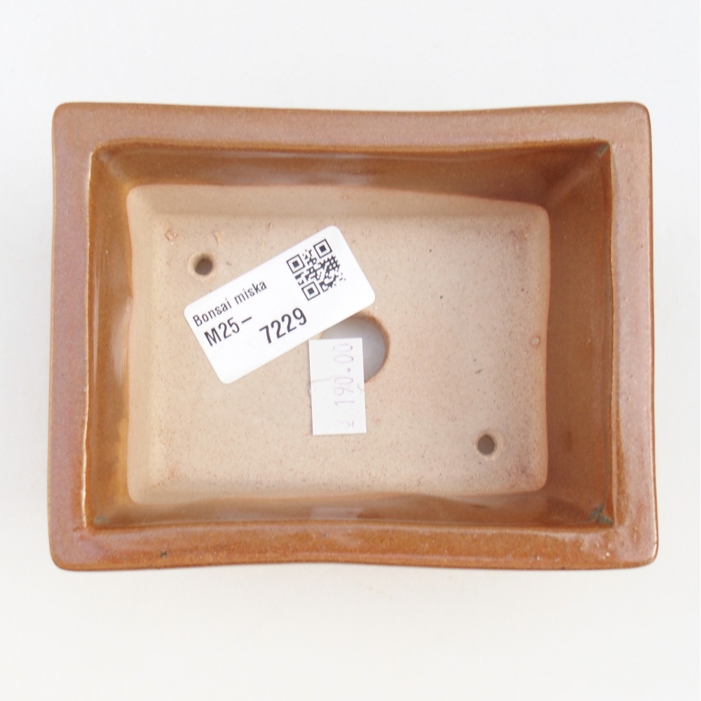 Cuenco bonsái de cerámica 11,5 x 9 x 4,5 cm, marrón
