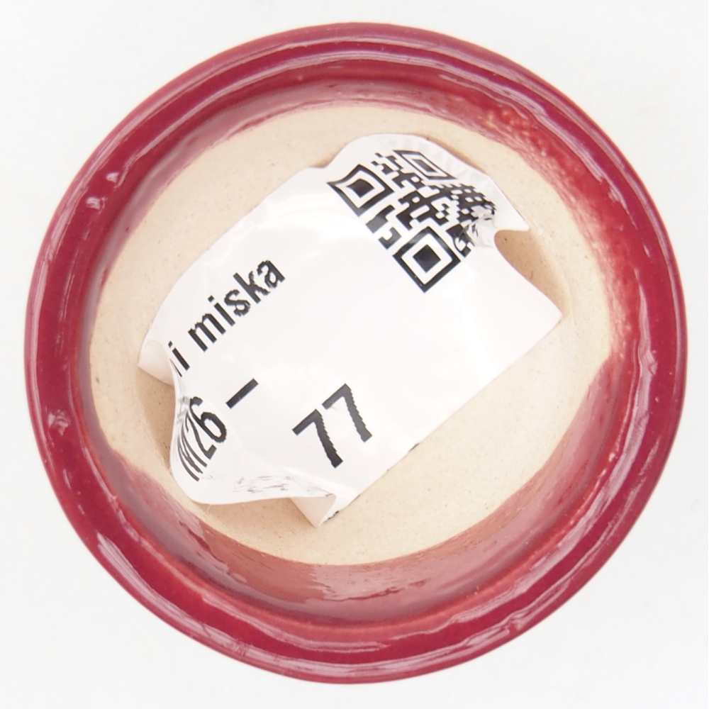 Cuenco mini bonsái 4 x 4 x 2 cm, burdeos