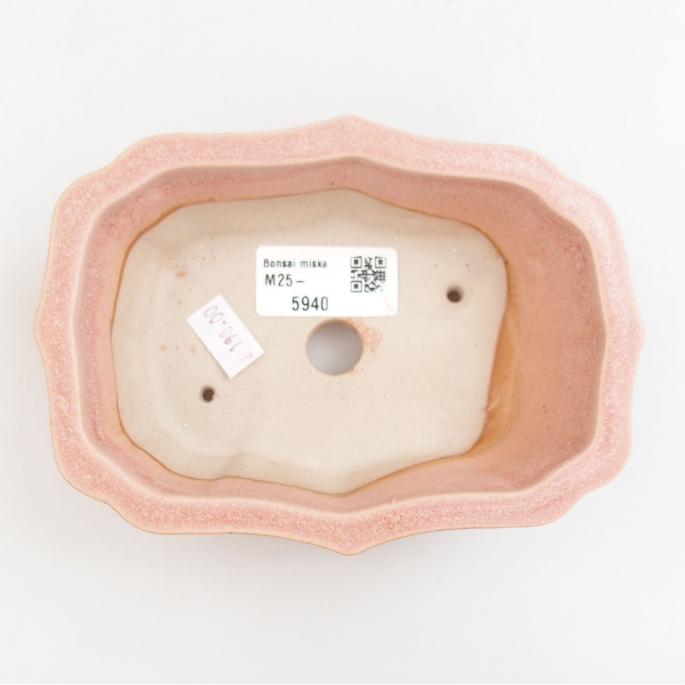 Cuenco bonsái de cerámica 22 x 17 x 5 cm, verde