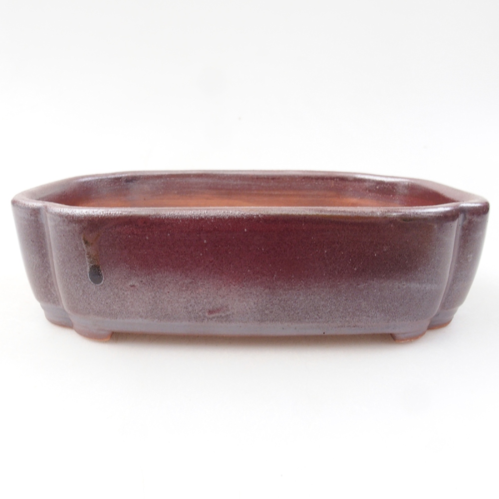 Cuenco bonsái de cerámica 15 x 11,5 x 4,5 cm, marrón