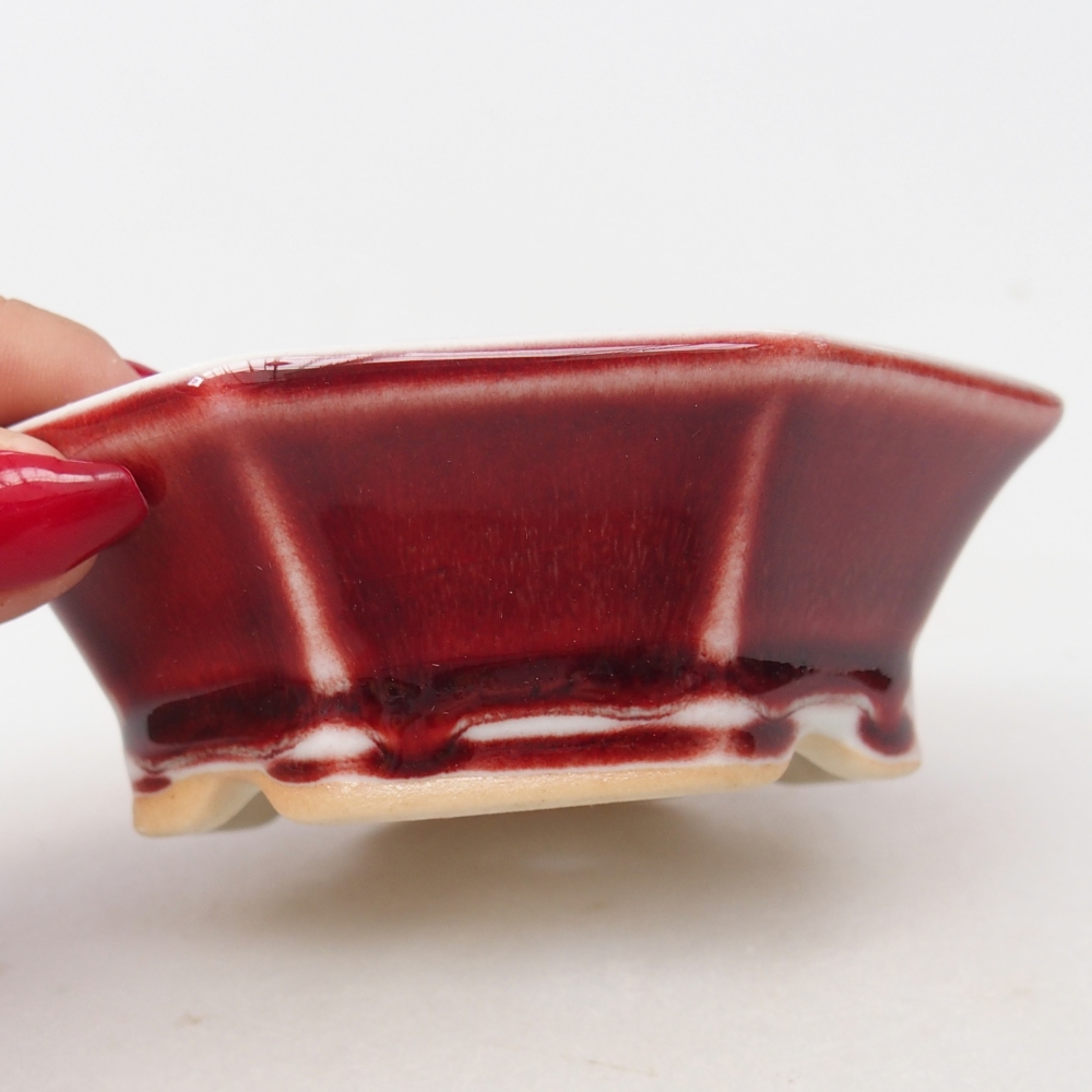 Mini cuenco bonsái 11 x 10 x 3,5 cm, color rojo